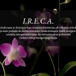 IRECA metoda